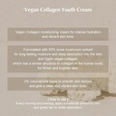 KAINE Vegan Collagen Youth Cream 50ml